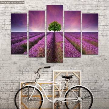 Πίνακας σε καμβά Stunning lavender field, πεντάπτυχος