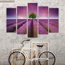 Canvas print Stunning lavender field five panels