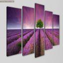 Canvas print Stunning lavender field five panels