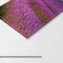 Πίνακας σε καμβά Stunning lavender field, πεντάπτυχος, λεπτομέρεια