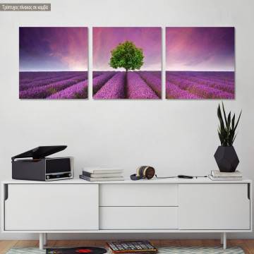 Πίνακας σε καμβά Stunning lavender field, τρίπτυχος
