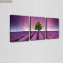 Canvas print Stunning lavender field,3 panels