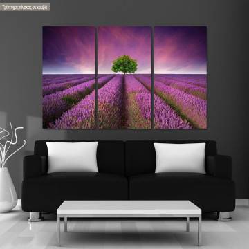 Πίνακας σε καμβά Stunning lavender field, τρίπτυχος