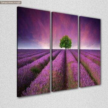 Canvas print Stunning lavender field,3 panels 2