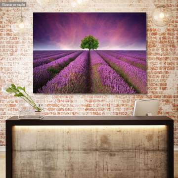 Πίνακας σε καμβά Λεβάντες, Stunning lavender field
