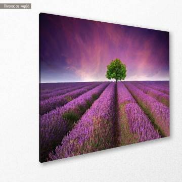 Πίνακας σε καμβά Λεβάντες, Stunning lavender field 2
