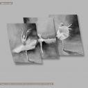 Poster Impression of a ballerina 3 panels