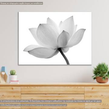 Πίνακας σε καμβά, Lotus flower