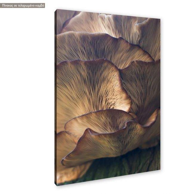 Canvas print, Other worlds