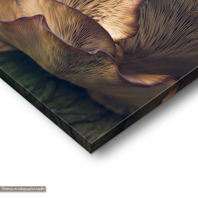 Canvas print, Other worlds