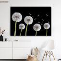 Canvas print,Dandelions bw