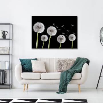 Canvas print  Dandelions bw Framed canvas View 1 2