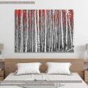 Canvas print Birch tree forest