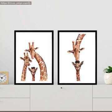 Giraffe Portraits II, poster