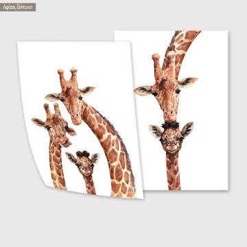 Giraffe Portraits II, poster 2