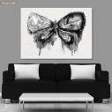 Πίνακας σε καμβά Watercolor grayscale butterfly