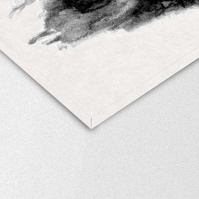 Canvas printWatercolor grayscale butterfly