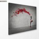 Canvas printRed dancer