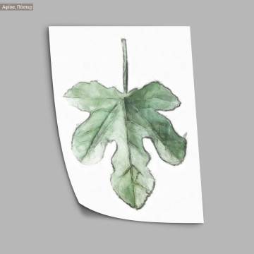 Flora sketch, κάδρο, μαύρη κορνίζα 2