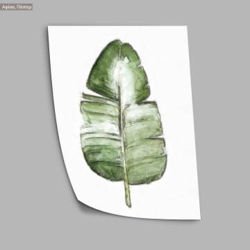 Flora sketch I, κάδρο, μαύρη κορνίζα 2