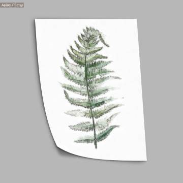 Flora sketch III, poster 2