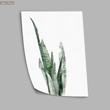 Flora sketch IV, poster 2