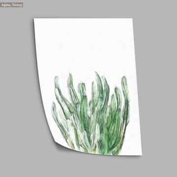 Flora sketch V, κάδρο, μαύρη κορνίζα 2