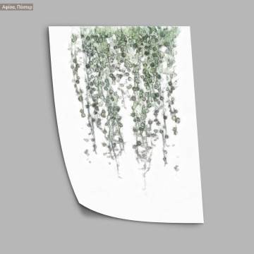 Flora sketch VI, poster 2