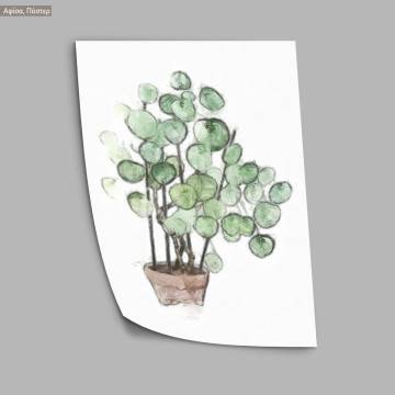 Flora sketch VII, poster 2