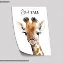 Poster Giraffe stand tall