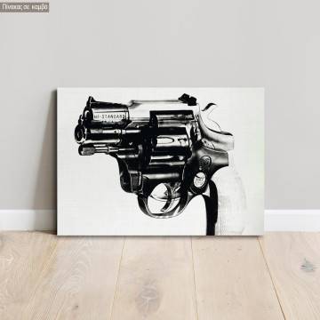 Πίνακας σε καμβά προσφορά 70x50 cm Double revolver gun 