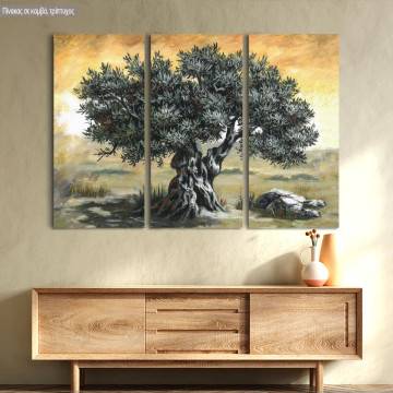 Canvas print Olive tree,3 panels