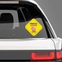 Baby car sticker My princess on board!
