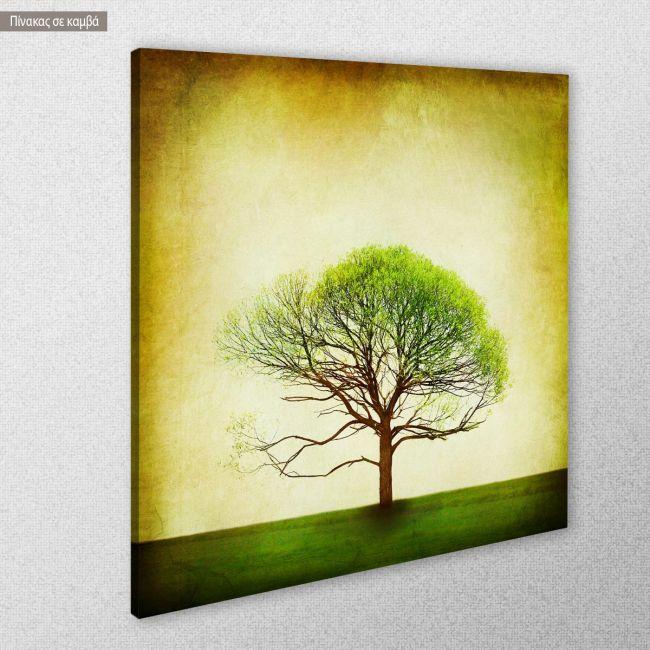 Canvas print TreeFrom spring to summer