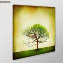 Canvas print TreeFrom spring to summer