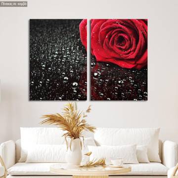 Canvas print Rose with water drops, two panels