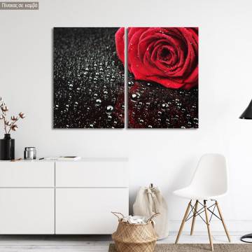 Πίνακας σε καμβά Rose with water drops, δίπτυχος 2