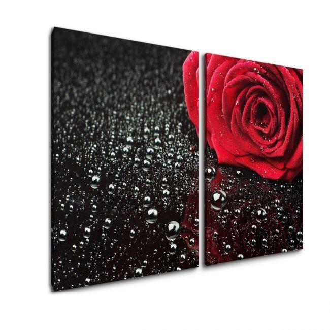 Πίνακας σε καμβά Rose with water drops, δίπτυχος