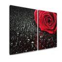 Πίνακας σε καμβά Rose with water drops, δίπτυχος