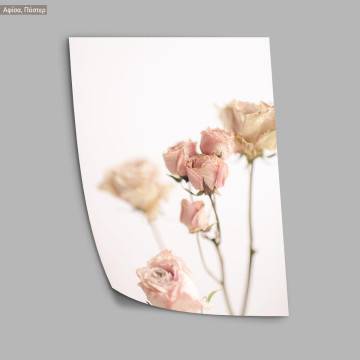 Pink roses, κάδρο, μαύρη κορνίζα 2