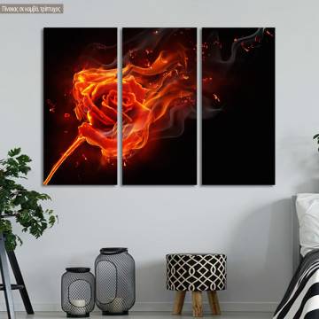 Canvas print Rose on fire,3 panels