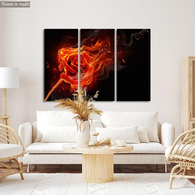 Canvas print Rose on fire,3 panels