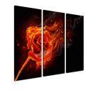 Canvas print Rose on fire,3 panels