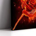 Canvas print Rose on fire,3 panels