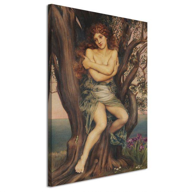 Canvas print The Dryad, Evelyn De Morgan