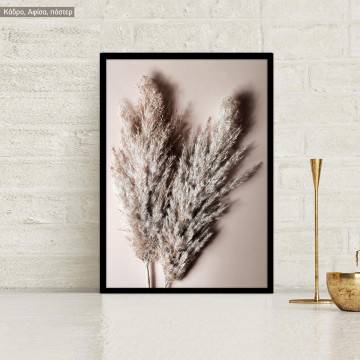 Reeds, poster