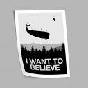 I want to believe, αφίσα, κάδρο