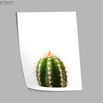 A cactus, κάδρο, μαύρη κορνίζα 2