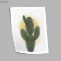 Curvy cactus, αφίσα, κάδρο