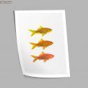 Gold fish painting, poster